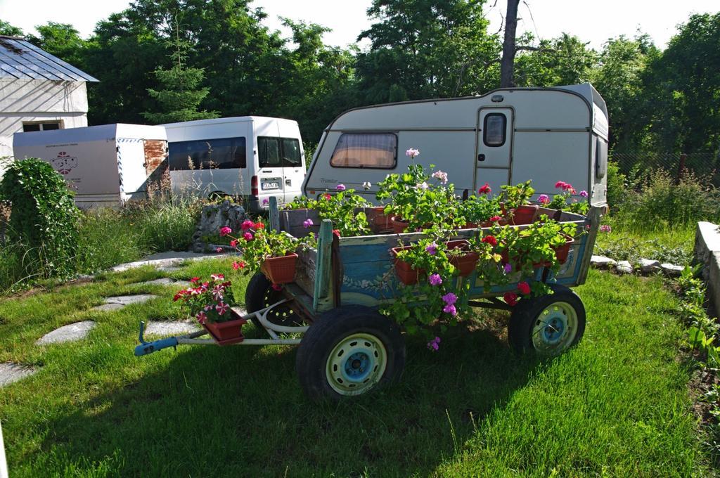 Hotel Camping Verila à Sapareva Banya Extérieur photo