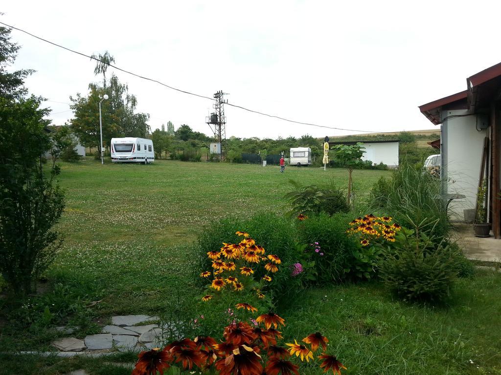 Hotel Camping Verila à Sapareva Banya Extérieur photo